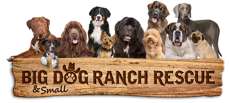 Big Dog Ranch Rescue logo